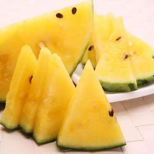 绿色的吃瓜,探寻大自然的清新美味