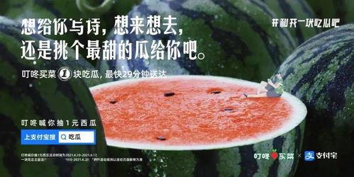 休闲吃瓜文案,解锁夏日清凉新姿势