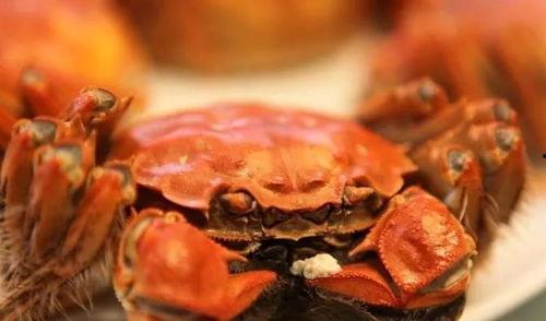 大闸蟹吃瓜视频