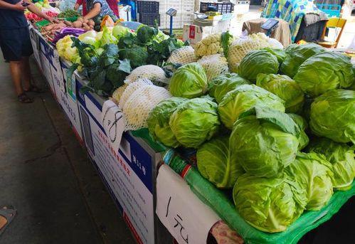 10元吃瓜视频,揭秘短视频背后的惊人真相