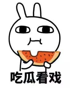 吃瓜罪过,揭秘网络舆论背后的真相