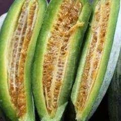 黑皮棱角酥瓜怎么吃,黑皮棱角酥瓜的独特食法揭秘