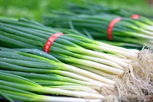 老蔺吃瓜,揭秘娱乐圈背后的秘密与真相